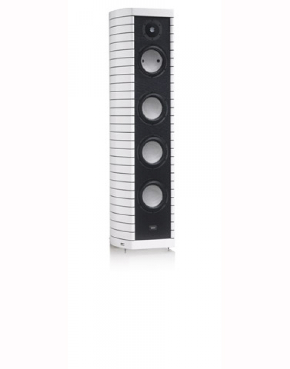 item41