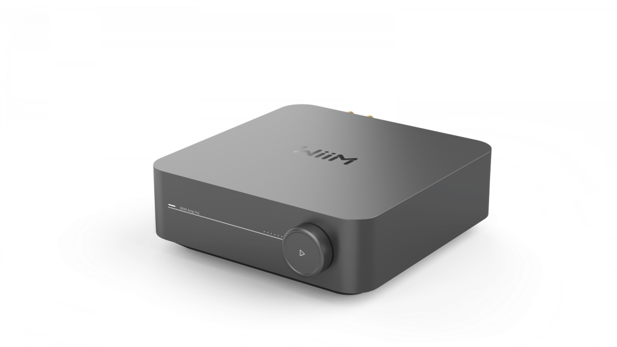 Wiim Amp Pro