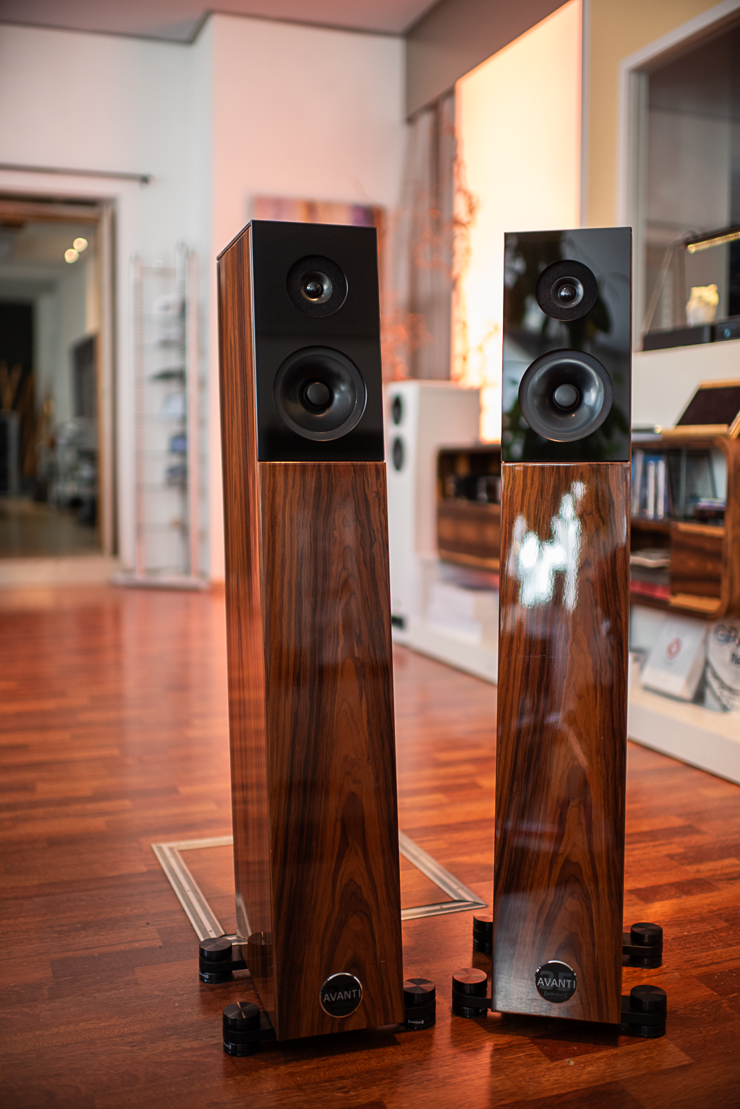 Audio Physic Avanti  - Aussteller