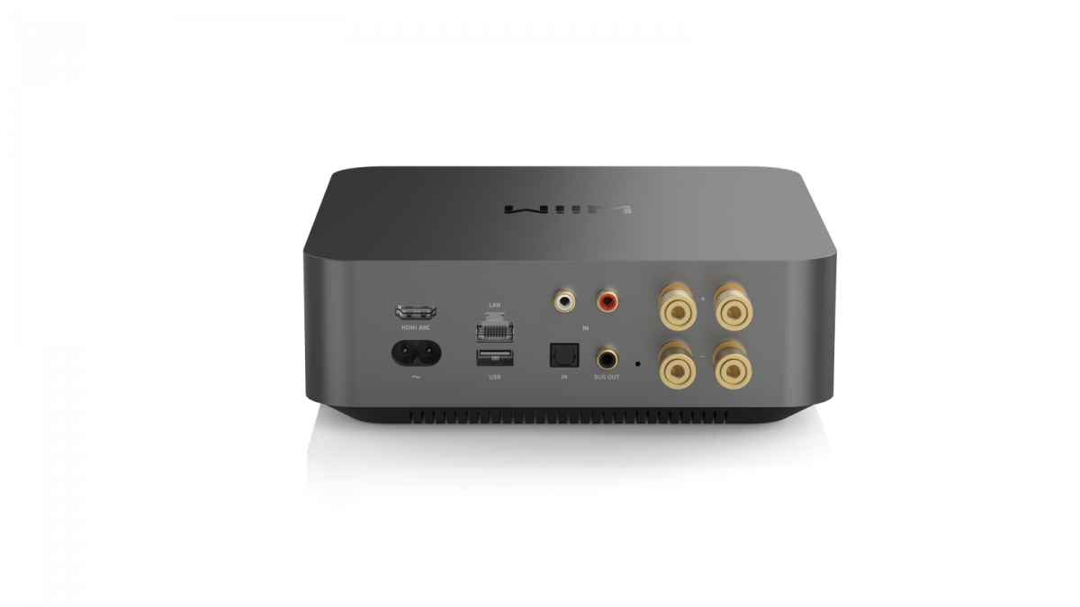 Wiim Amp Pro