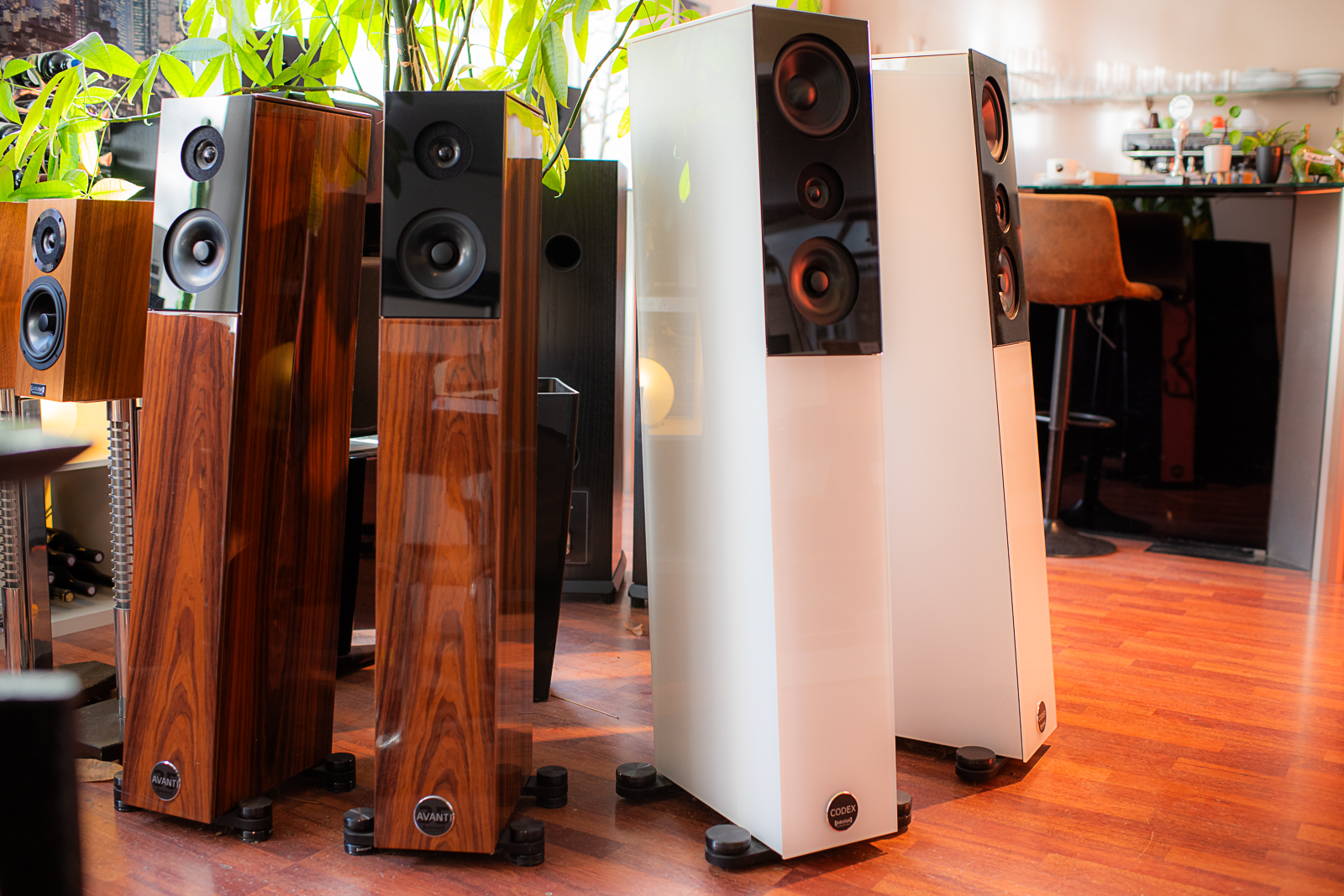 Audio Physic Avanti  - Aussteller